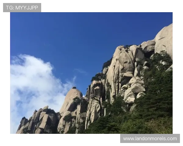 manbetx万博亚洲注册流程与新手指南帮助新手快速上手体验